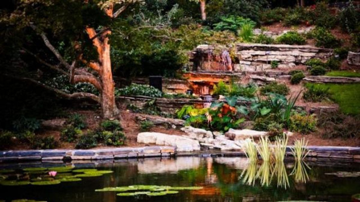 Duke Gardens hosts party for supporters