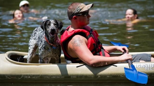 Festival goers explore the Eno with kayaks and canoes during the Festival for the Eno in Durham on July 7, 2012