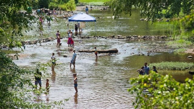 Festivals in NC: Festival for the Eno