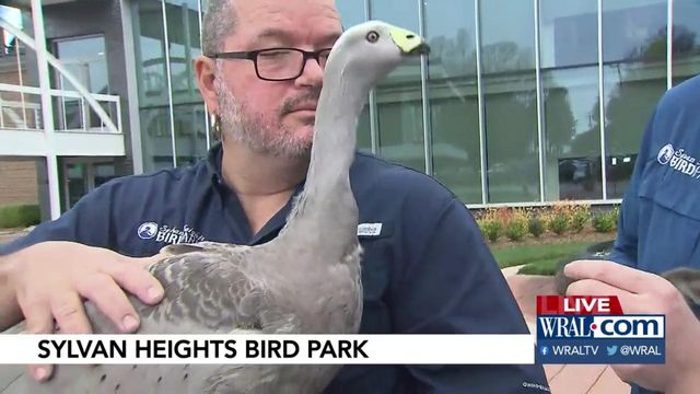 Special bird park guests visit WRAL