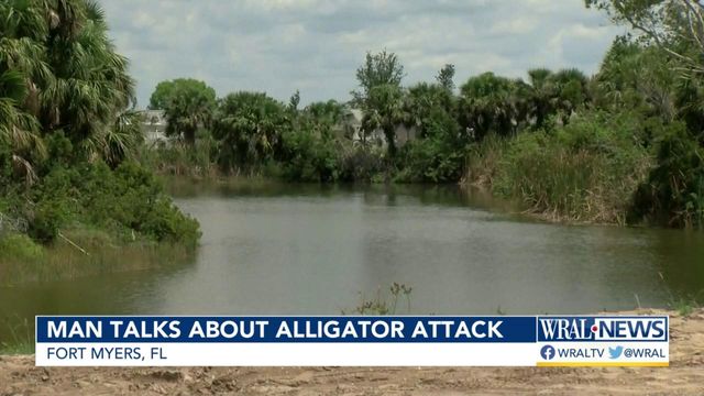 'Not the end of the world': Man talks about losing arm in alligator attack