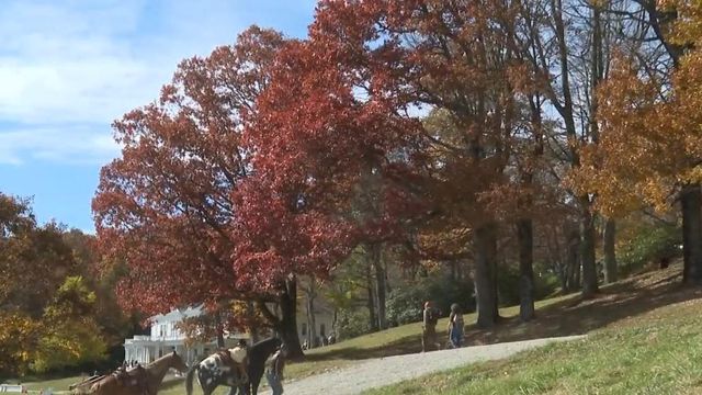 Warmer temps can desynchronize the usually vibrant fall colors in western NC
