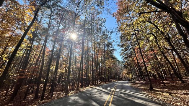 Where to see fall leaves in the Triangle 