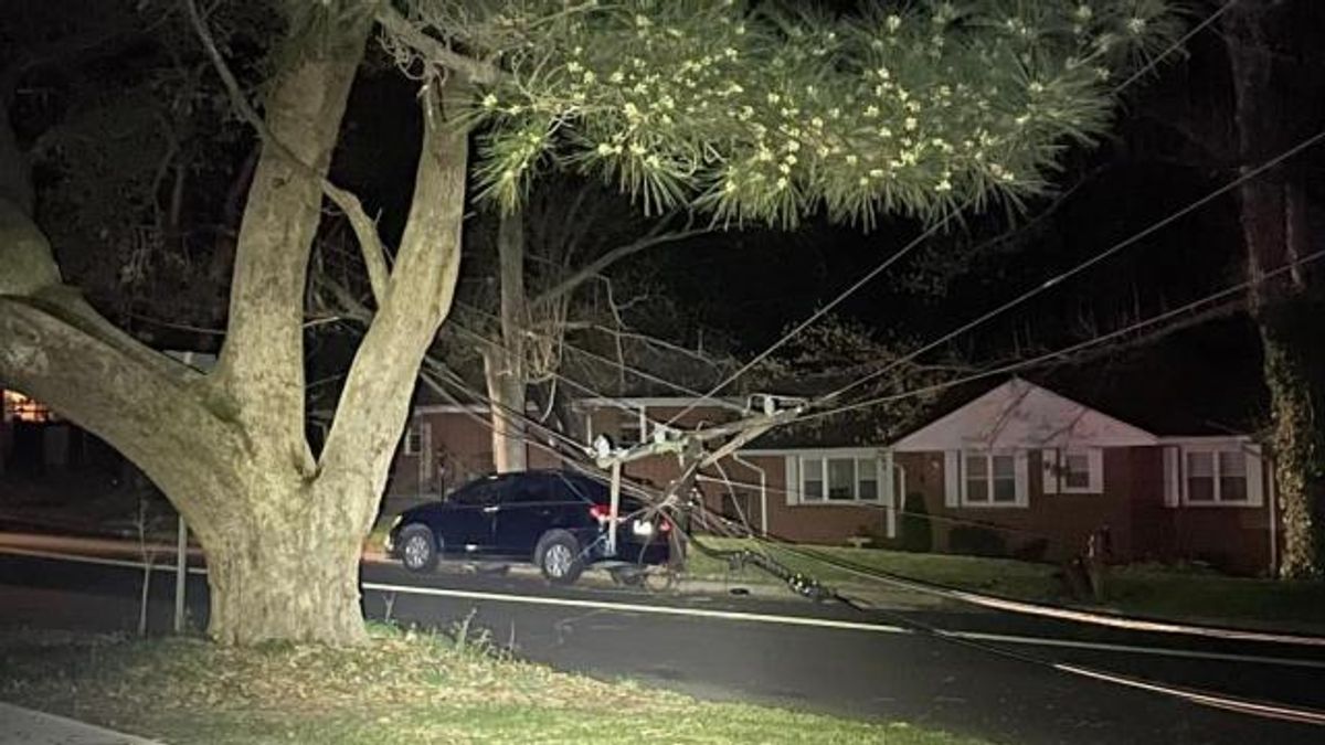 Durham woman charged with DWI after crashing into power pole on Leon ...