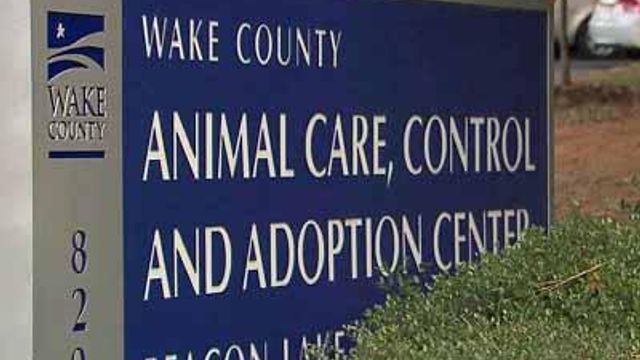 Wake shelter kills 'Pet of the Day' dog
