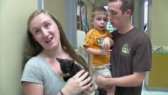 Clear the Shelters helps hundreds find new four-legged friends