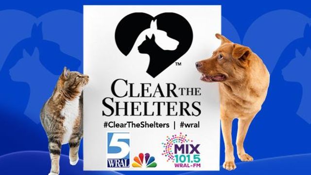 Clear the Shelters finds furry friends their forever homes