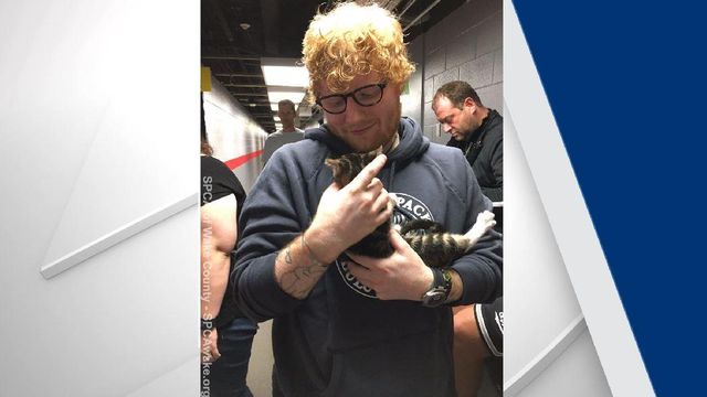 Ed Sheeran surprised with kittens at Raleigh concert