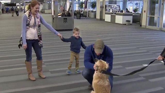 Soldier reunited with dog at RDU