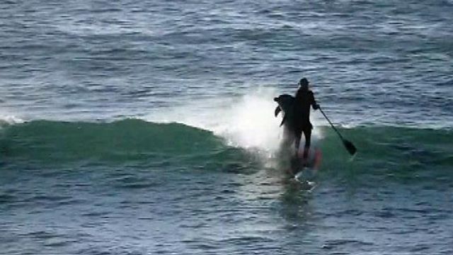 Raw: Dolphin body slams paddle boarder