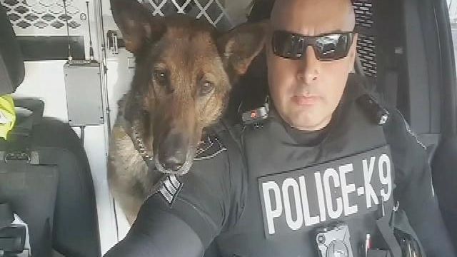 Lip-syncing cop gets backup from K9 partner