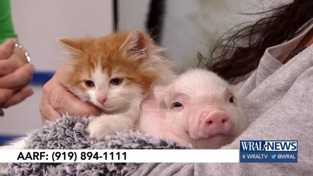 Pet of the Day: Nov. 18