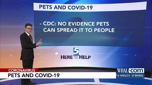 Here to Help: Pets and COVID-19
