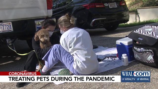 Vets have precautions for treating pets during coronavirus outbreak