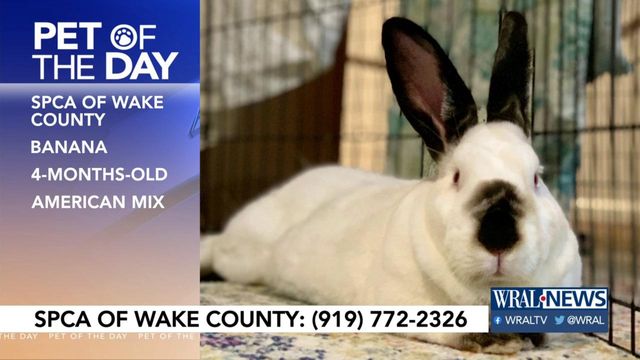 Pet of the Day: May 14