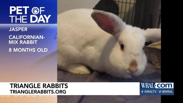 Pet of the Day: June 28