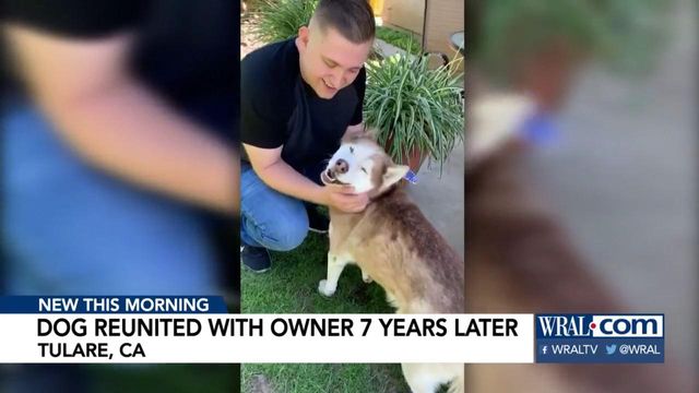 Dog and owner reunite after 7 years