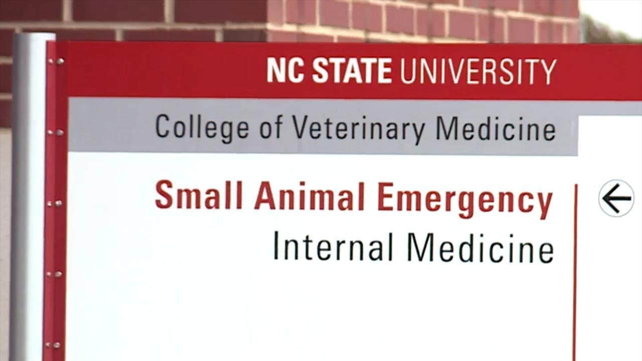 Dog that died at NCSU vet school tested positive for coronavirus