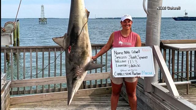 SC teacher lands 173-pound shark