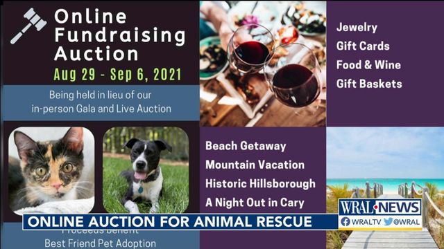 Cary-based animal rescue holding online fundraiser