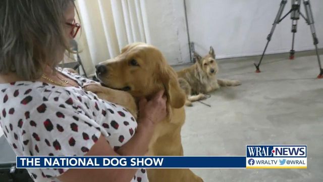 Thanksgiving 2021 marks the 20th anniversary of the National Dog Show 