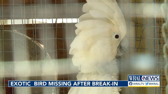 Exotic birds missing after animal sanctuary break-in