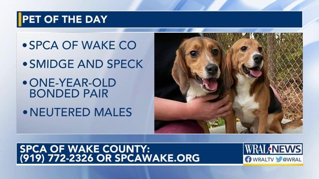 Pet of the Day: Dec. 17