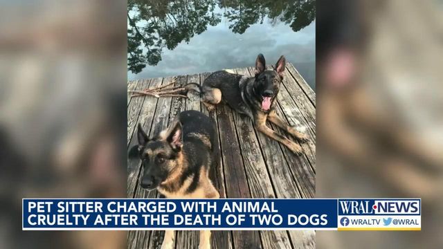 NC pet sitter charged with animal cruelty