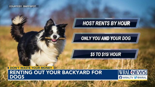 Rent out your backyard for dogs, make money 