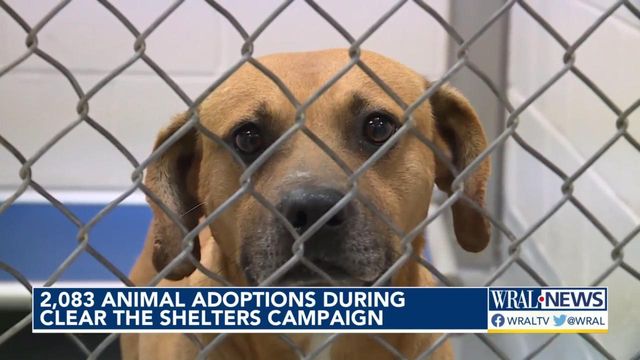 2,083 animal adoptions during the 2022 Clear the Shelters campaign