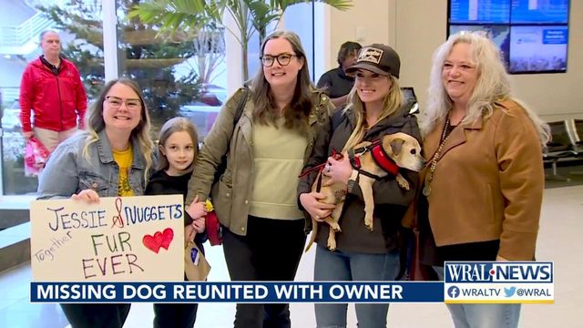 Dog who vanished 7 years ago reunites with owner in South Carolina