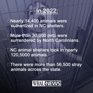 North Carolina animal shelter stats