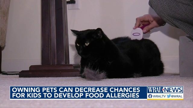 Owning pets can decrease chances for kids to develop food allergies, study finds