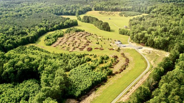 Animal sanctuary secures 83 acres of land in Chapel Hill 