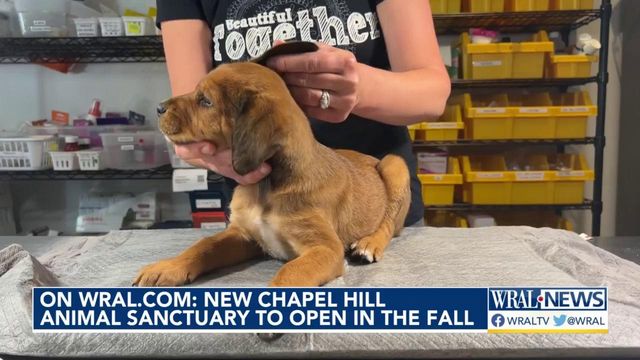 83-acre animal sanctuary in Chapel Hill to open this fall