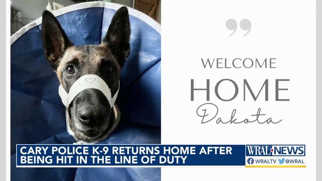 Cary K-9 officer returns home after being hit in line of duty