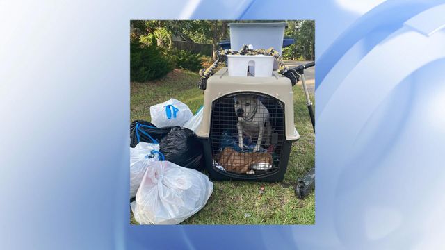 Hoke sanitation workers rescue dog left out with trash