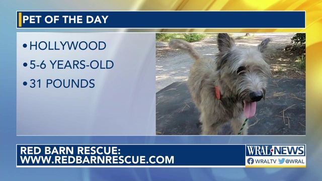 Pet of the Day for Sept. 19, 2023
