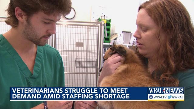 NC veterinarians struggle to meet demand amid staffing shortages