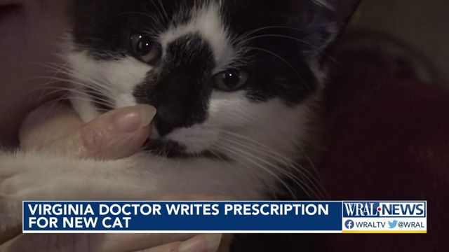 Doctor writes prescription for new cat