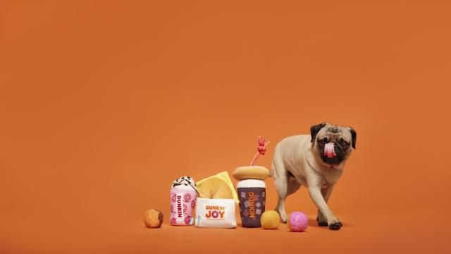 https://images.wral.com/asset/lifestyles/pets/2023/11/02/21128810/RETAIL_DUNKIN-FULL-COLLECTION_0048_DART-STITCHx-2-DMID1-60stvq9u6-640x360.jpg?w=640&h=360