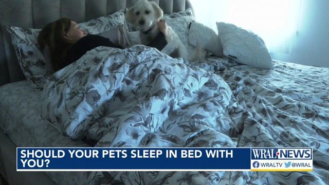 Should your pets sleep in bed with you?
