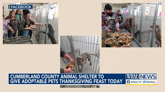 Pets at Cumberland County animal shelter get surprise Thanksgiving feast Thursday