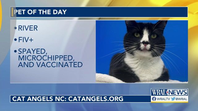 Pet of the Day: Nov. 29