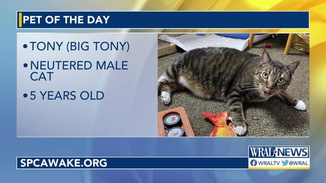 Pet of the Day: Dec. 1