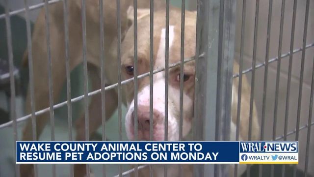 Wake animal shelter to resume adoptions