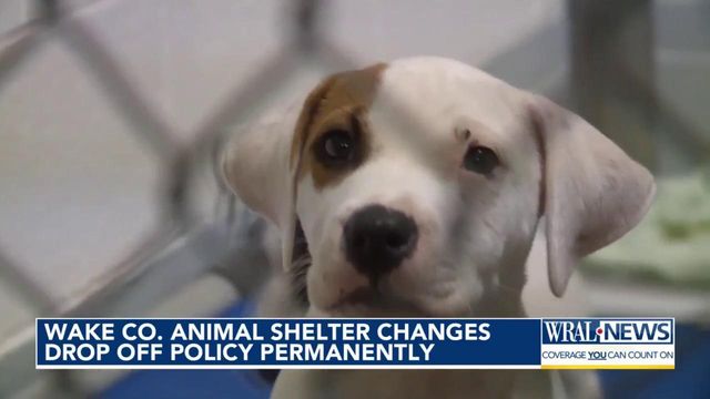 Wake Animal Center changes drop-off procedure permanently