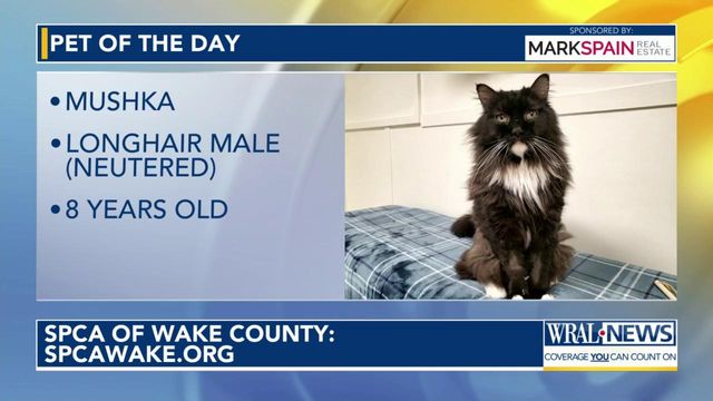 Pet of the Day for Feb. 15, 2024