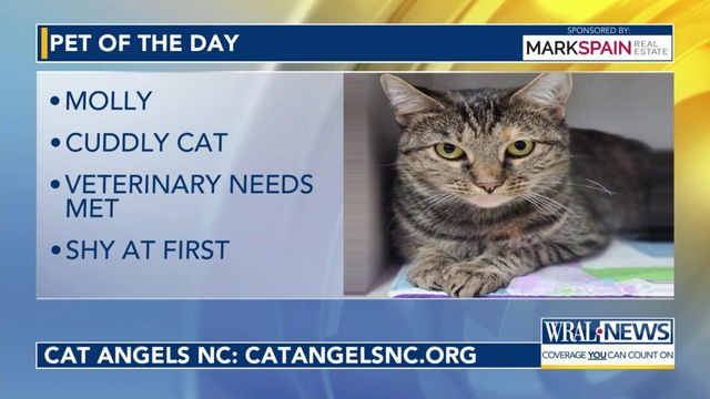 Pet of the Day for Feb. 28, 2024