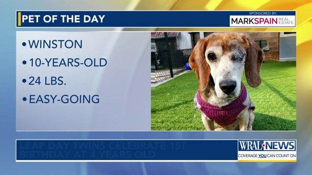 Pet of the Day: Feb. 29